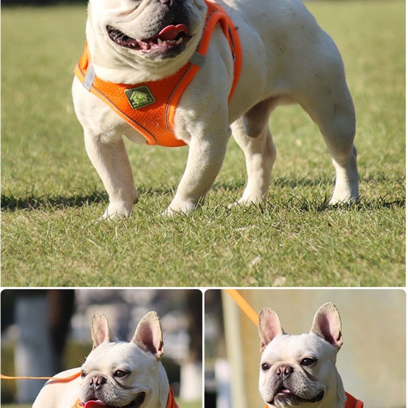 Reflective Small Dogs, Puppy Harness Leash - Picture 2 of 5